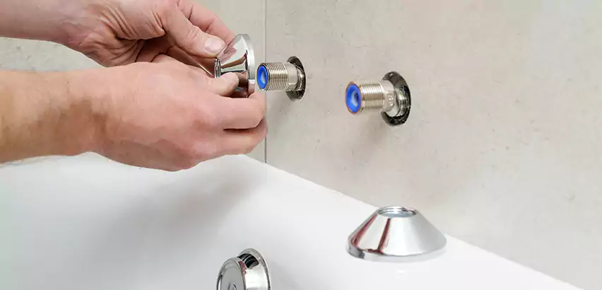 Bathtub Faucet Diverter Replacement in Lodi