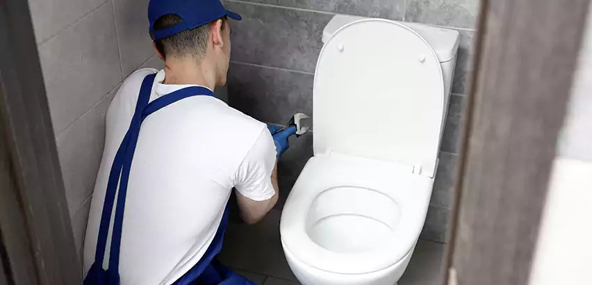 Toilet Lid Replacement in Lodi
